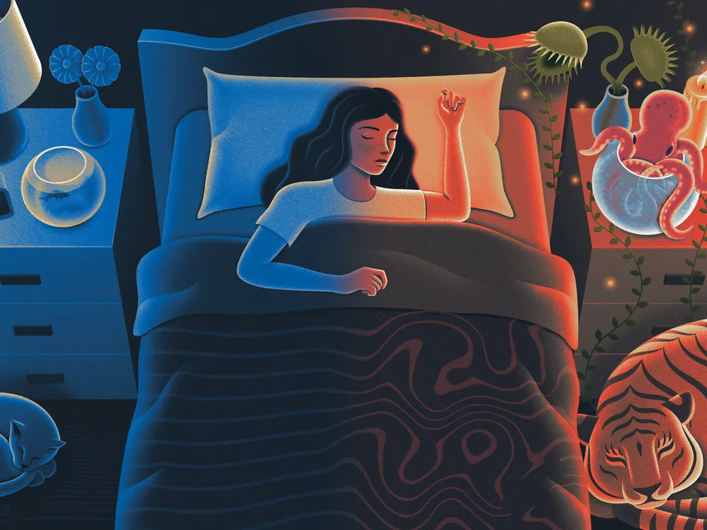 Bed Arc vs Wooden Frames: Which Supports Memory Foam Better?