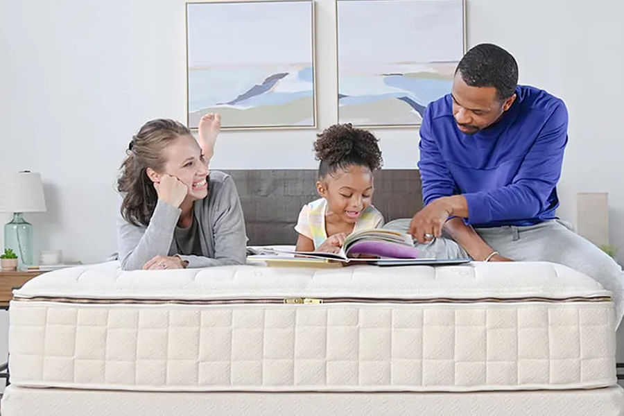 organic mattress protector