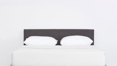 Floyd Bed Frame: An Honest Review from Real Users